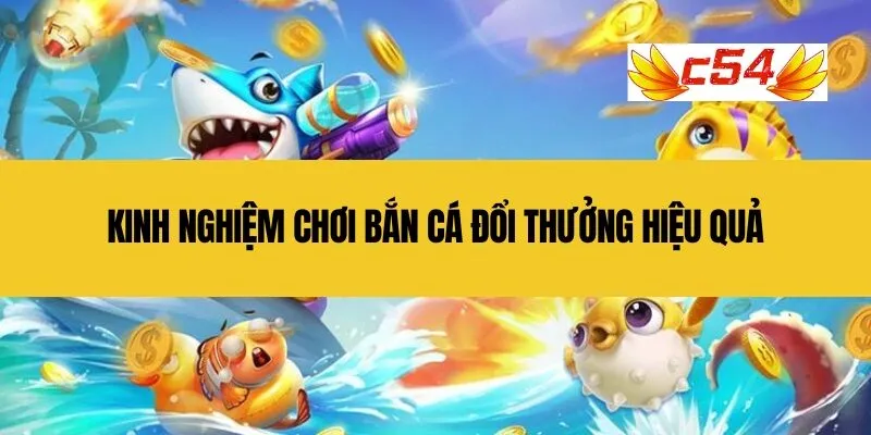 Kinh nghiệm chơi bắn cá đổi thưởng hiệu quả