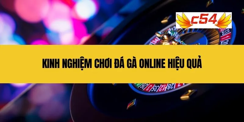 Kinh nghiệm chơi Đá Gà Online hiệu quả