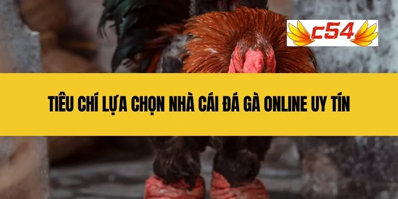Tiêu chí lựa chọn nhà cái Đá Gà Online uy tín